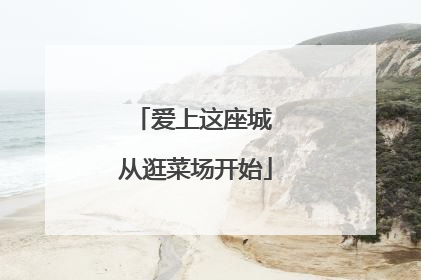 爱上这座城 从逛菜场开始
