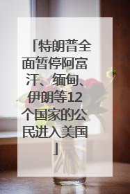 特朗普全面暂停阿富汗、缅甸、伊朗等12个国家的公民进入美国
