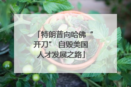 特朗普向哈佛“开刀” 自毁美国人才发展之路