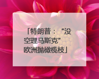 特朗普：“没空理马斯克” 欧洲抛橄榄枝