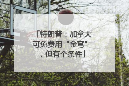 特朗普：加拿大可免费用“金穹”，但有个条件