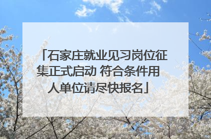 石家庄就业见习岗位征集正式启动 符合条件用人单位请尽快报名