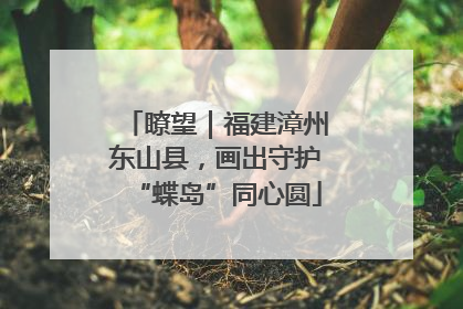 瞭望｜福建漳州东山县，画出守护“蝶岛”同心圆