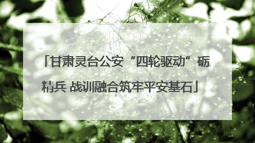 甘肃灵台公安“四轮驱动”砺精兵 战训融合筑牢平安基石