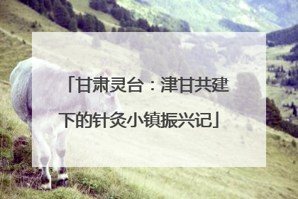 甘肃灵台：津甘共建下的针灸小镇振兴记
