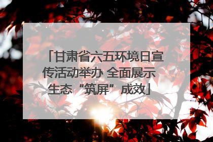 甘肃省六五环境日宣传活动举办 全面展示生态“筑屏”成效