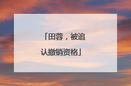 田蓉，被追认撤销资格