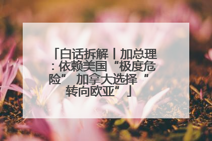白话拆解丨加总理：依赖美国“极度危险” 加拿大选择“转向欧亚”