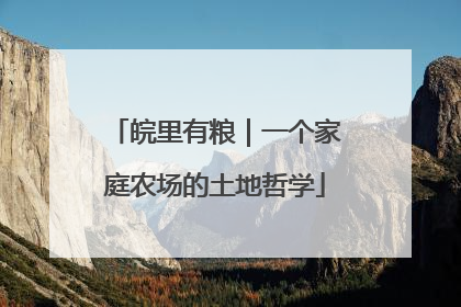 皖里有粮｜一个家庭农场的土地哲学