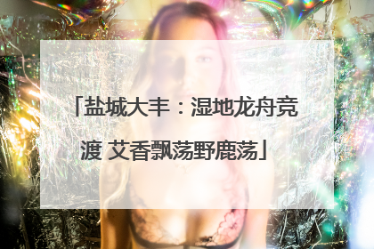 盐城大丰：湿地龙舟竞渡 艾香飘荡野鹿荡