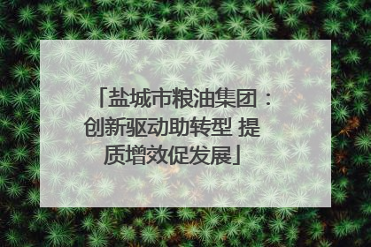 盐城市粮油集团：创新驱动助转型 提质增效促发展