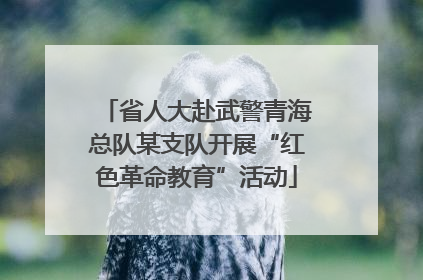 省人大赴武警青海总队某支队开展“红色革命教育”活动