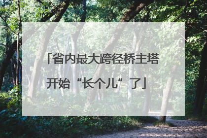 省内最大跨径桥主塔开始“长个儿”了