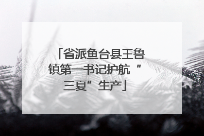 省派鱼台县王鲁镇第一书记护航“三夏”生产