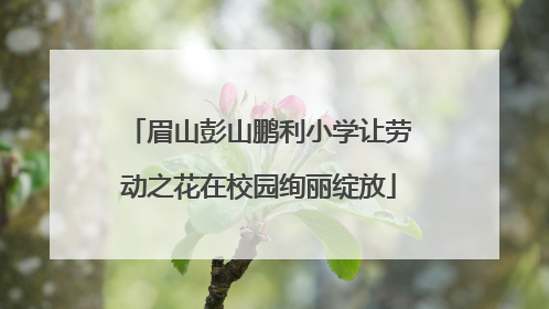 眉山彭山鹏利小学让劳动之花在校园绚丽绽放