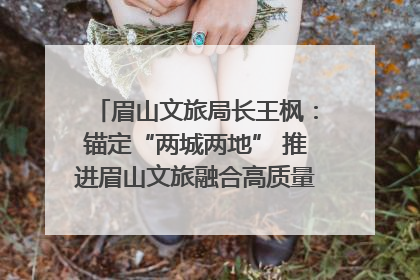眉山文旅局长王枫：锚定“两城两地” 推进眉山文旅融合高质量发展｜文旅局长说