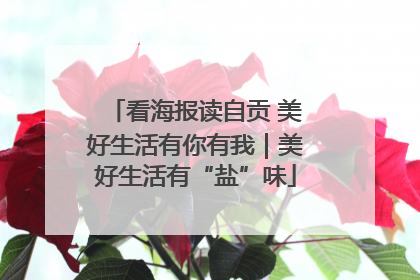 看海报读自贡 美好生活有你有我｜美好生活有“盐”味