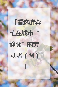 看这群奔忙在城市“静脉”的劳动者（图）