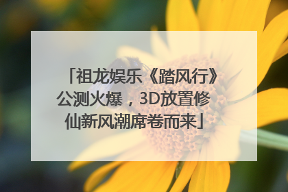 祖龙娱乐《踏风行》公测火爆，3D放置修仙新风潮席卷而来