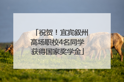 祝贺！宜宾叙州高场职校4名同学获得国家奖学金