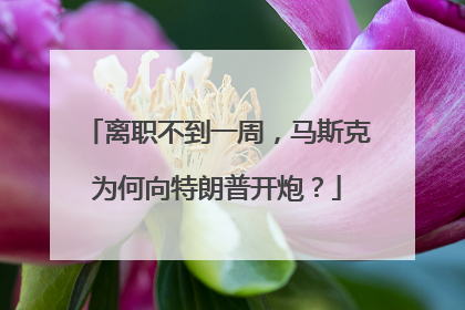离职不到一周，马斯克为何向特朗普开炮？