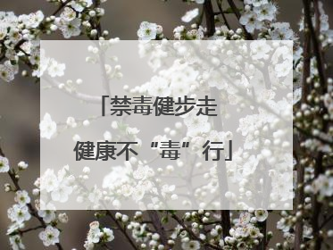 禁毒健步走  健康不“毒”行
