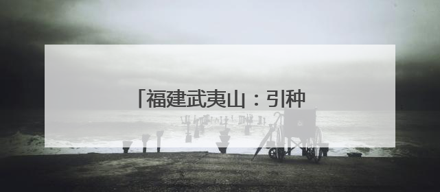 福建武夷山：引种七彩土豆喜获丰收