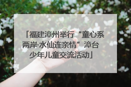 福建漳州举行“童心系两岸·水仙连亲情”漳台少年儿童交流活动