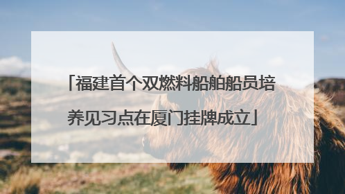 福建首个双燃料船舶船员培养见习点在厦门挂牌成立