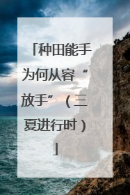 种田能手为何从容“放手”（三夏进行时）