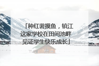 种红薯摸鱼，镇江这家学校在田间池畔见证学生快乐成长