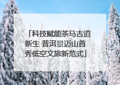 科技赋能茶马古道新生 普洱景迈山首秀低空文旅新范式