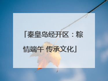 秦皇岛经开区：粽情端午 传承文化