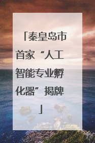秦皇岛市首家“人工智能专业孵化器”揭牌
