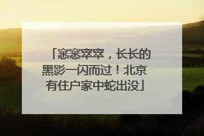 窸窸窣窣，长长的黑影一闪而过！北京有住户家中蛇出没