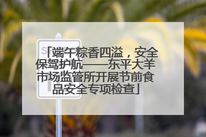 端午粽香四溢，安全保驾护航——东平大羊市场监管所开展节前食品安全专项检查