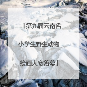 第九届云南省小学生野生动物绘画大赛落幕