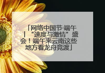 网络中国节·端午丨“速度与激情”盛会！端午来云南这些地方看龙舟竞渡