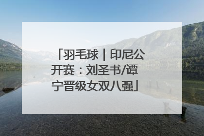 羽毛球｜印尼公开赛：刘圣书/谭宁晋级女双八强