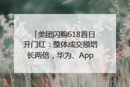 美团闪购618首日开门红：整体成交额增长两倍，华为、Apple、沃尔玛等近800个品牌翻倍增长