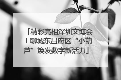 精彩亮相深圳文博会！聊城东昌府区“小葫芦”焕发数字新活力