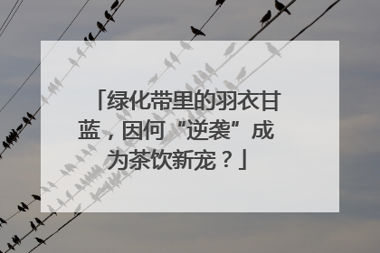 绿化带里的羽衣甘蓝，因何“逆袭”成为茶饮新宠？