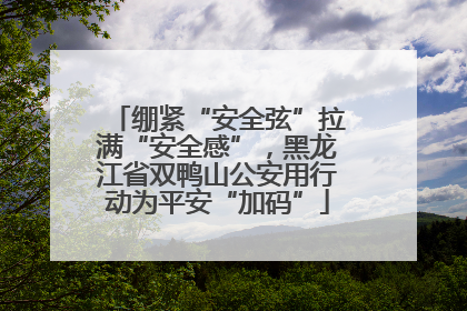 绷紧“安全弦”拉满“安全感”，黑龙江省双鸭山公安用行动为平安“加码”