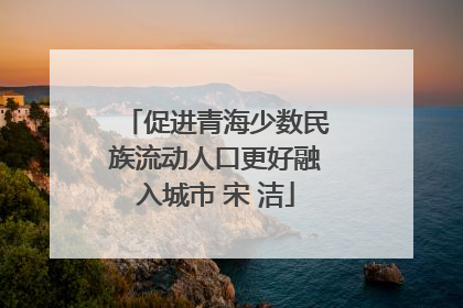 促进青海少数民族流动人口更好融入城市 宋 洁