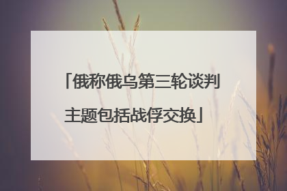 俄称俄乌第三轮谈判主题包括战俘交换