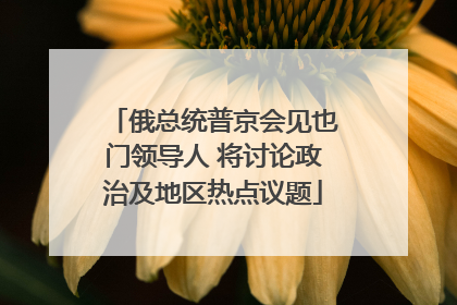 俄总统普京会见也门领导人 将讨论政治及地区热点议题