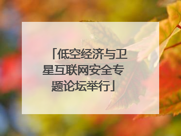低空经济与卫星互联网安全专题论坛举行