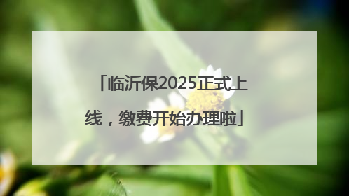 临沂保2025正式上线，缴费开始办理啦