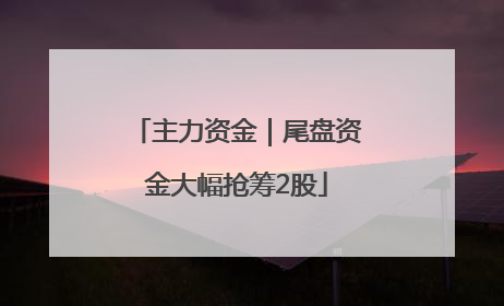 主力资金｜尾盘资金大幅抢筹2股