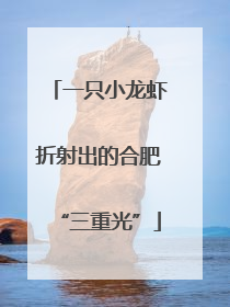 一只小龙虾折射出的合肥“三重光”